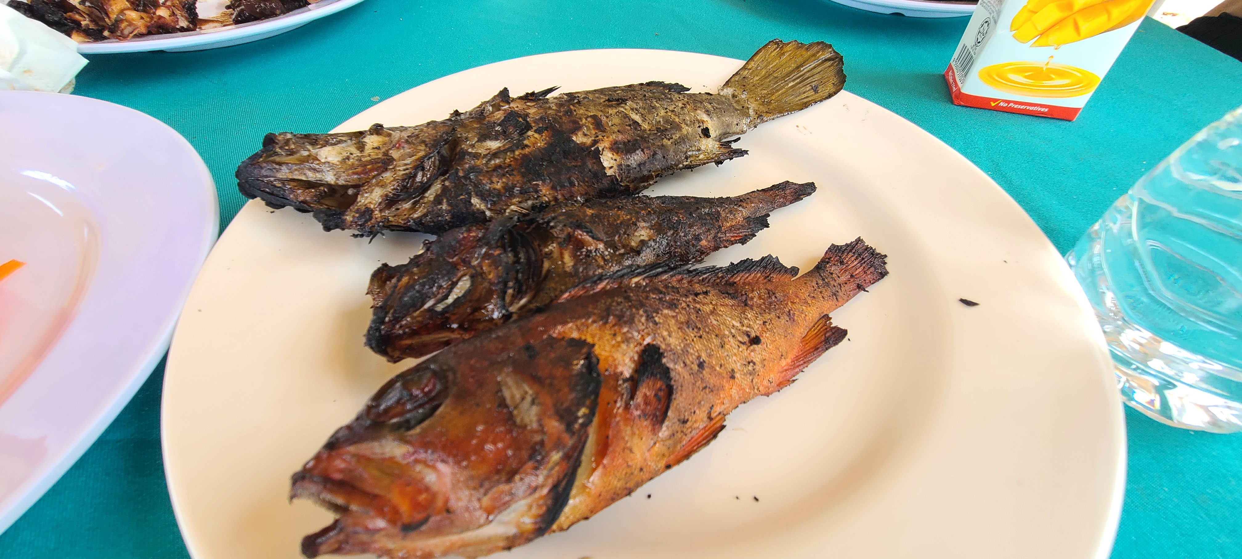 Underwater scene with colorful fish and coral gardens