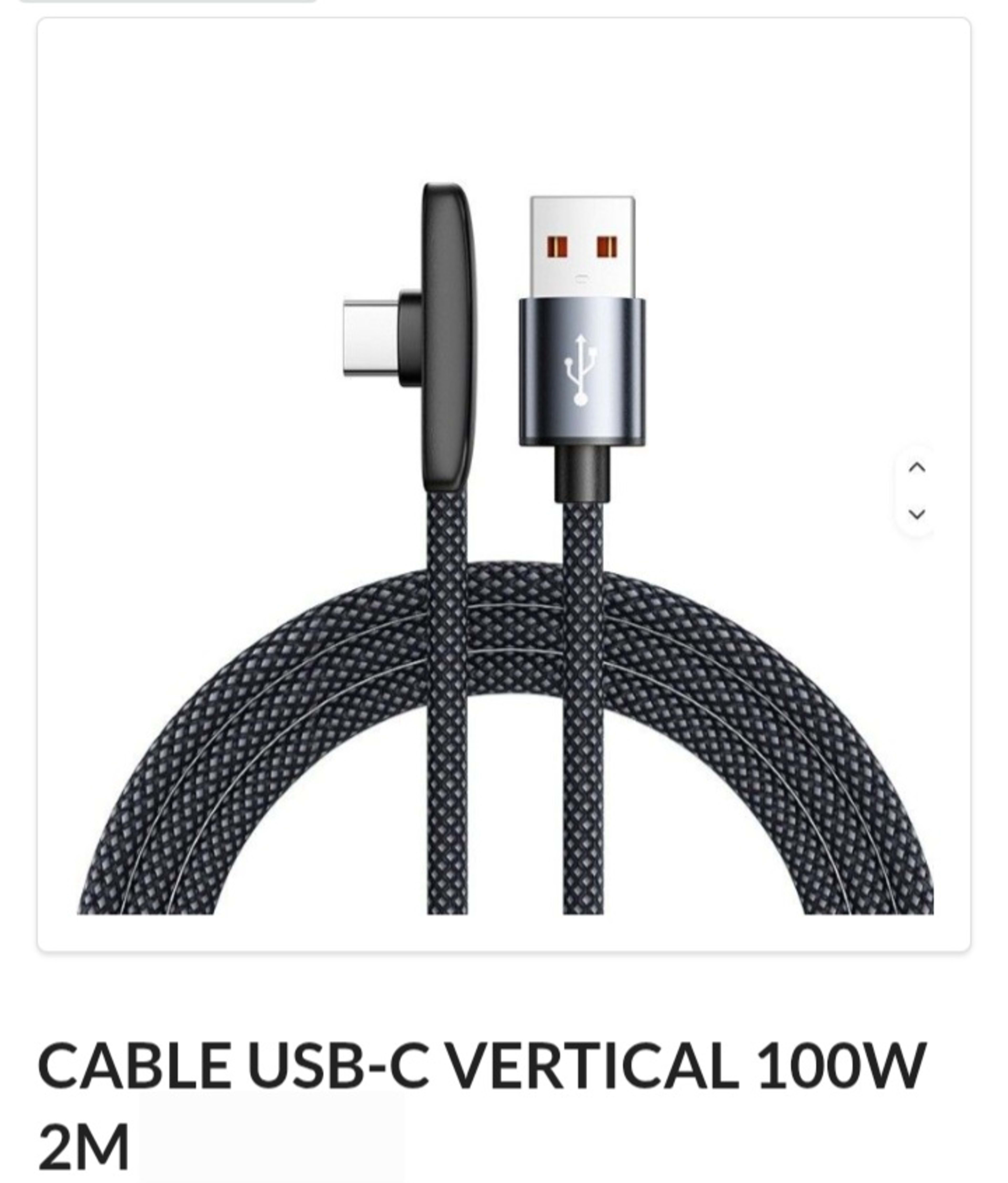 Cable Tipo C vertical Mallado 100w 2 mts