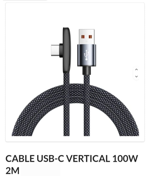 Cable Tipo C vertical Mallado 100w 2 mts