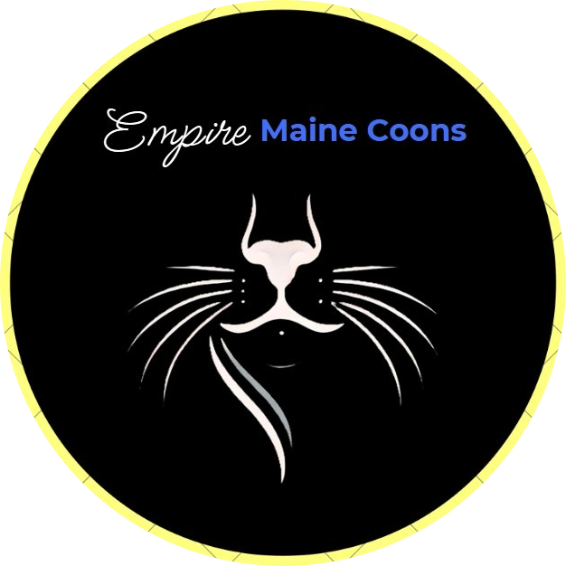 Empire Maine Coons