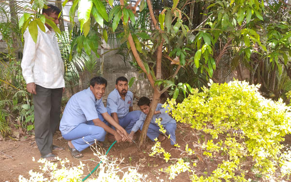 Environmental Day