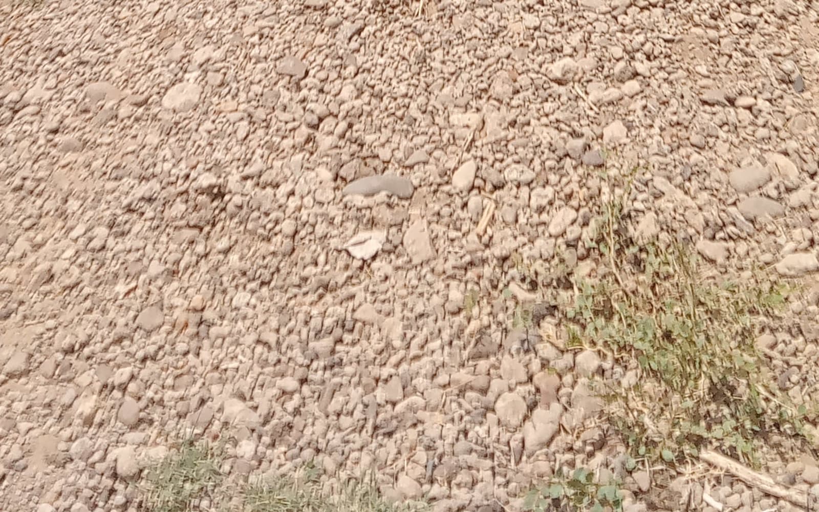 Exterior view of plot in Palaj, Gandhinagar
