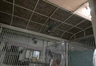 Kitchen of bungalow in New c g road Chandkheda, Ahmedabad