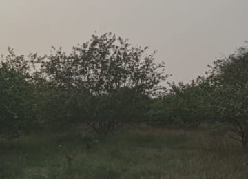 Exterior view of agriculture land in Dhanap Gandhinagar