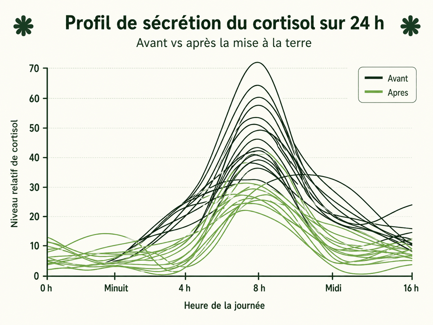 Cortisol avant et après mise à la terre