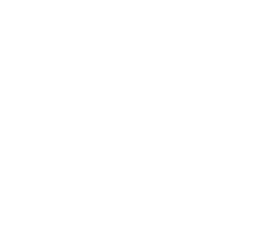 Logo Studio Thais Silva