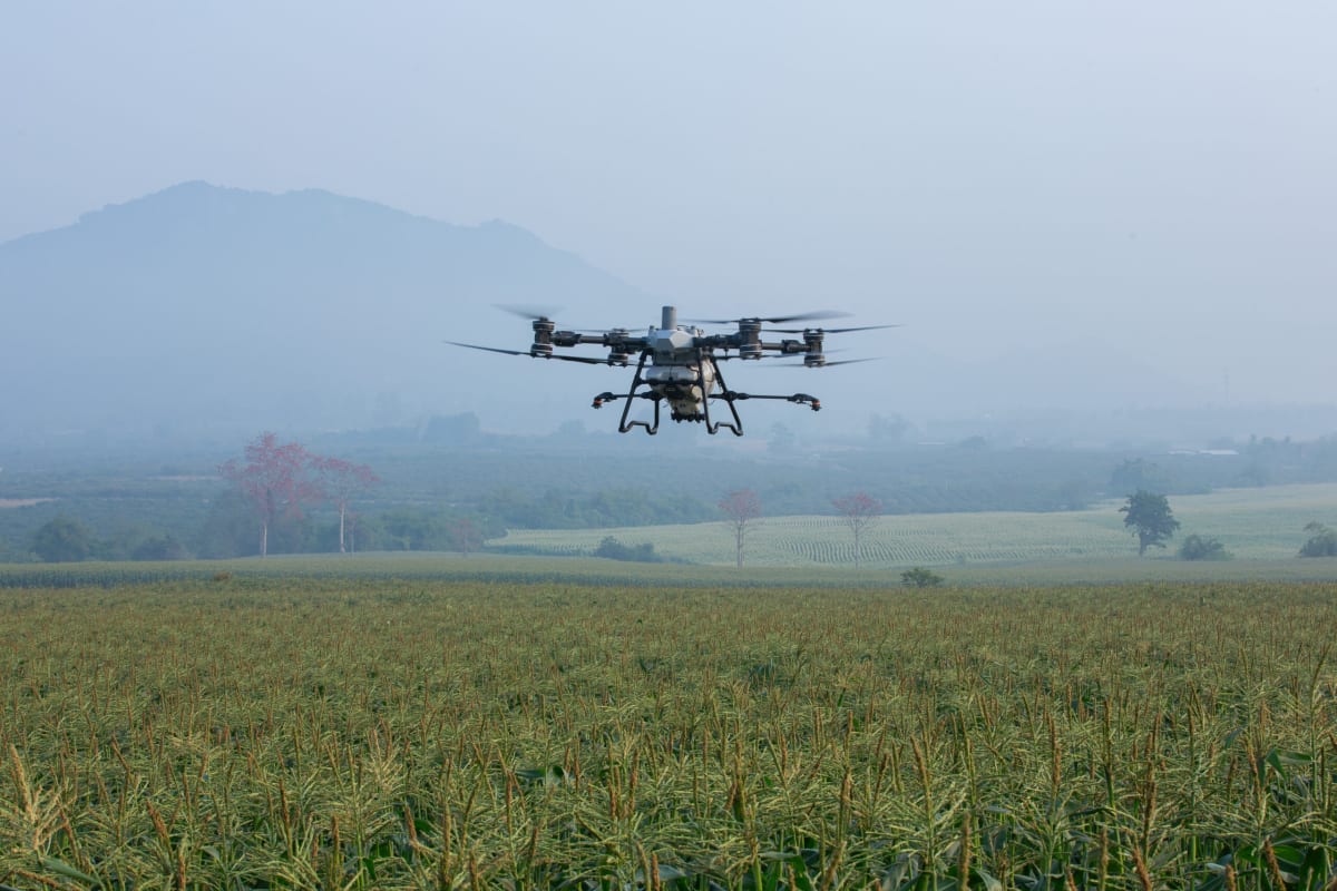 Servicio de Drone Siembra/Fertilización/Pulverización