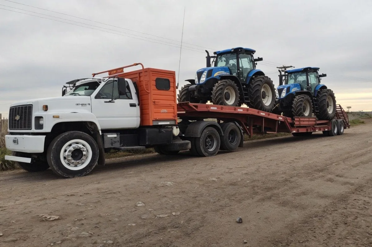 Servicio de transporte en carreton