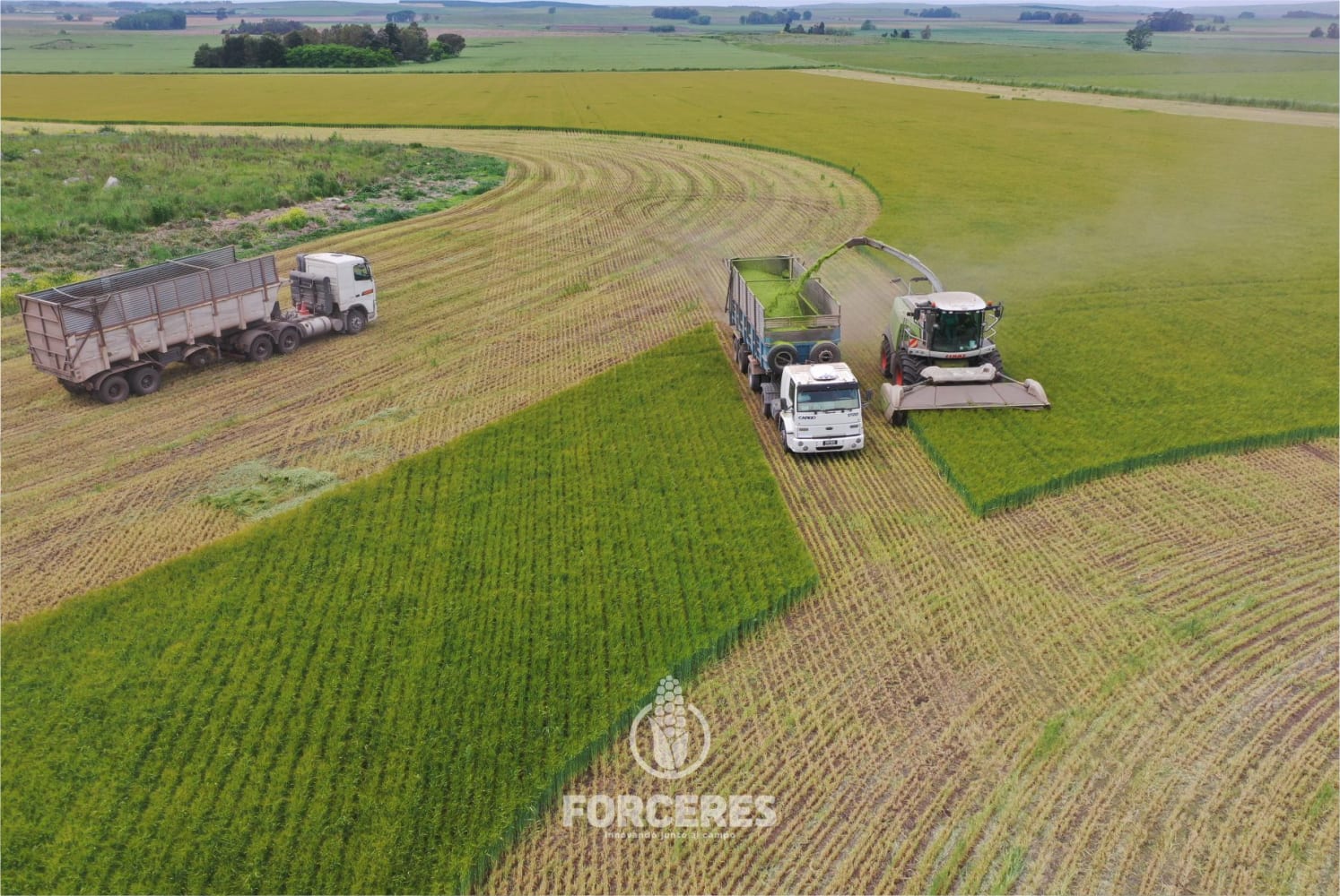 Servicios rurales — ForCeres S.R.L.