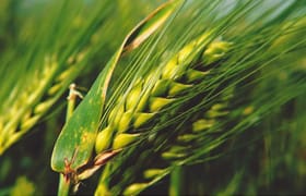 Servicios rurales — Agrogenerales S.A.