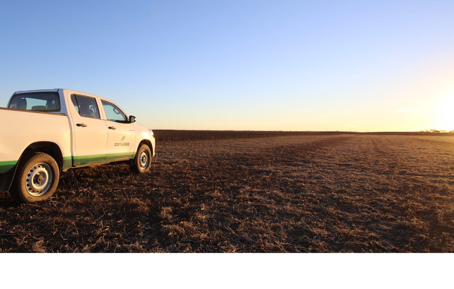 Servicios rurales — COTAGRO Cooperativa Agropecuaria Limitada