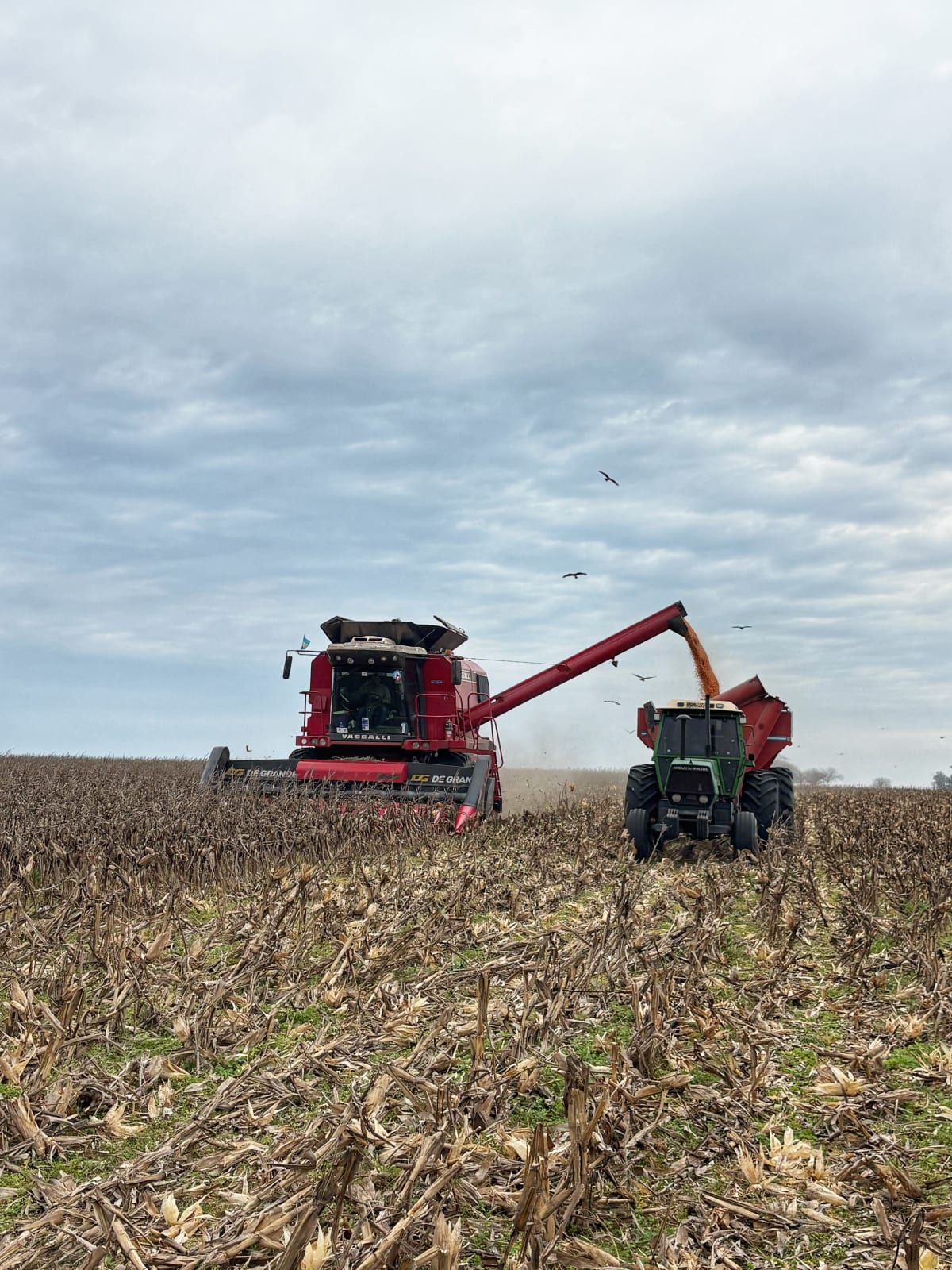 LB servicios agrícolas