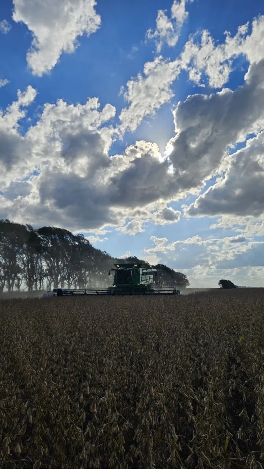 Johndeere s770 y s550