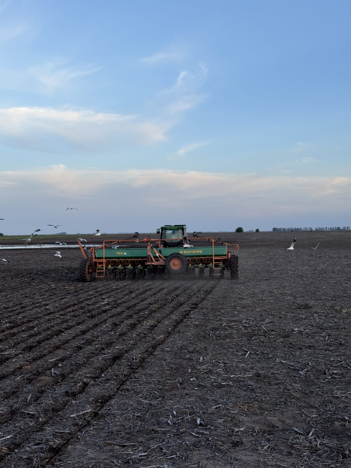 Servicio de siembra gruesa y fina 🌻🌱🌾🌽