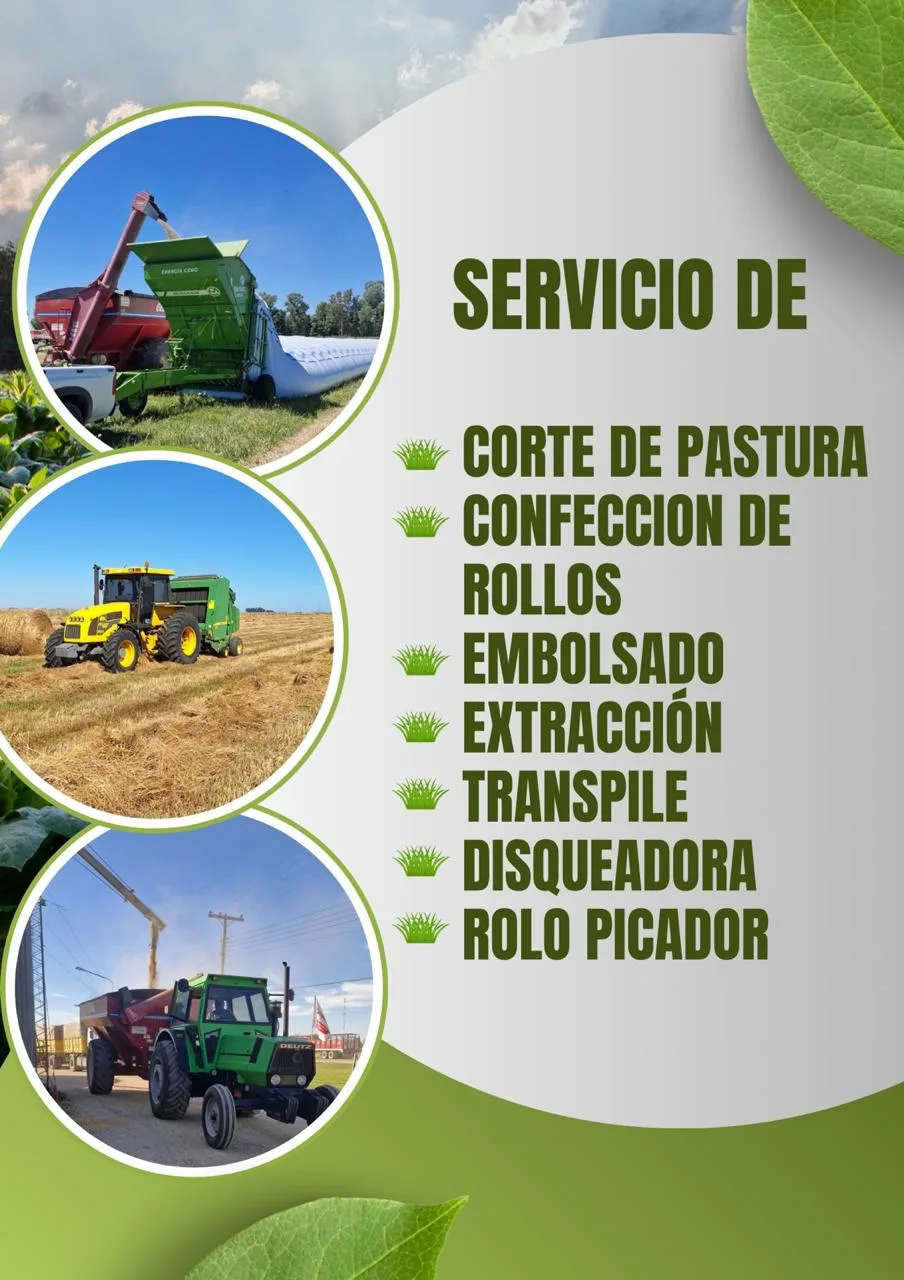 Servicios varios