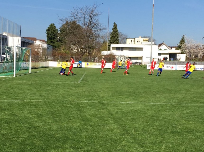 Unentschieden gegen Rapperswil-Jona
