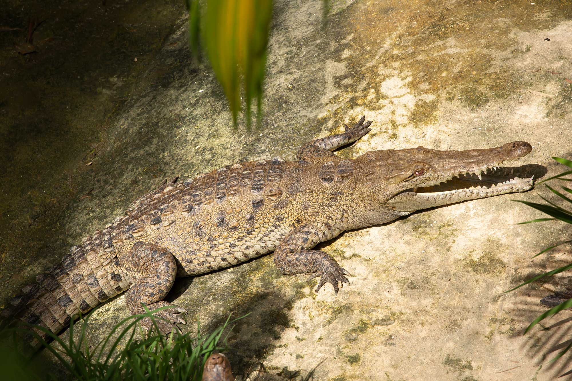 Centro de Conservación de Fauna 6