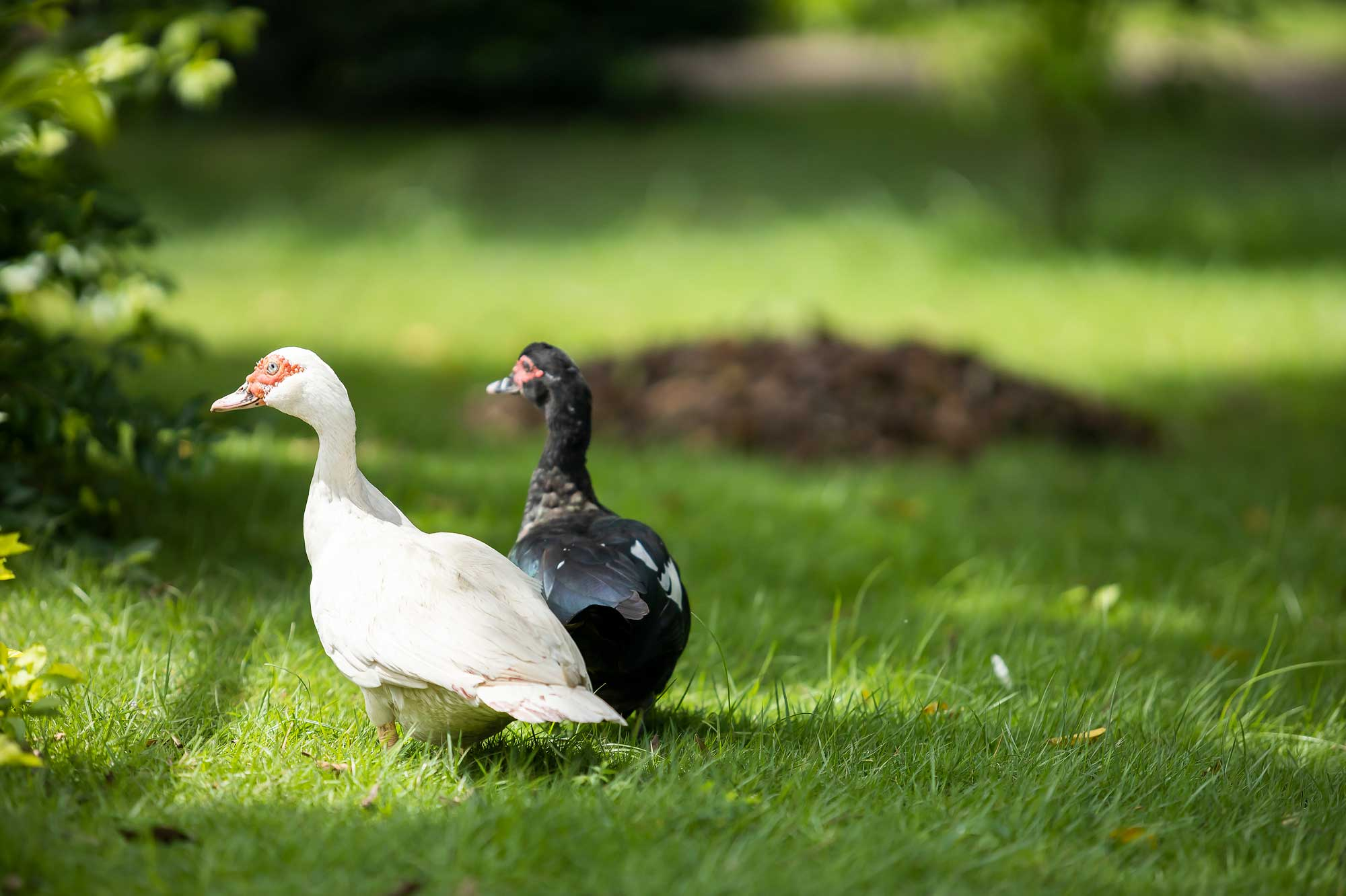 Centro de Conservación de Fauna 4