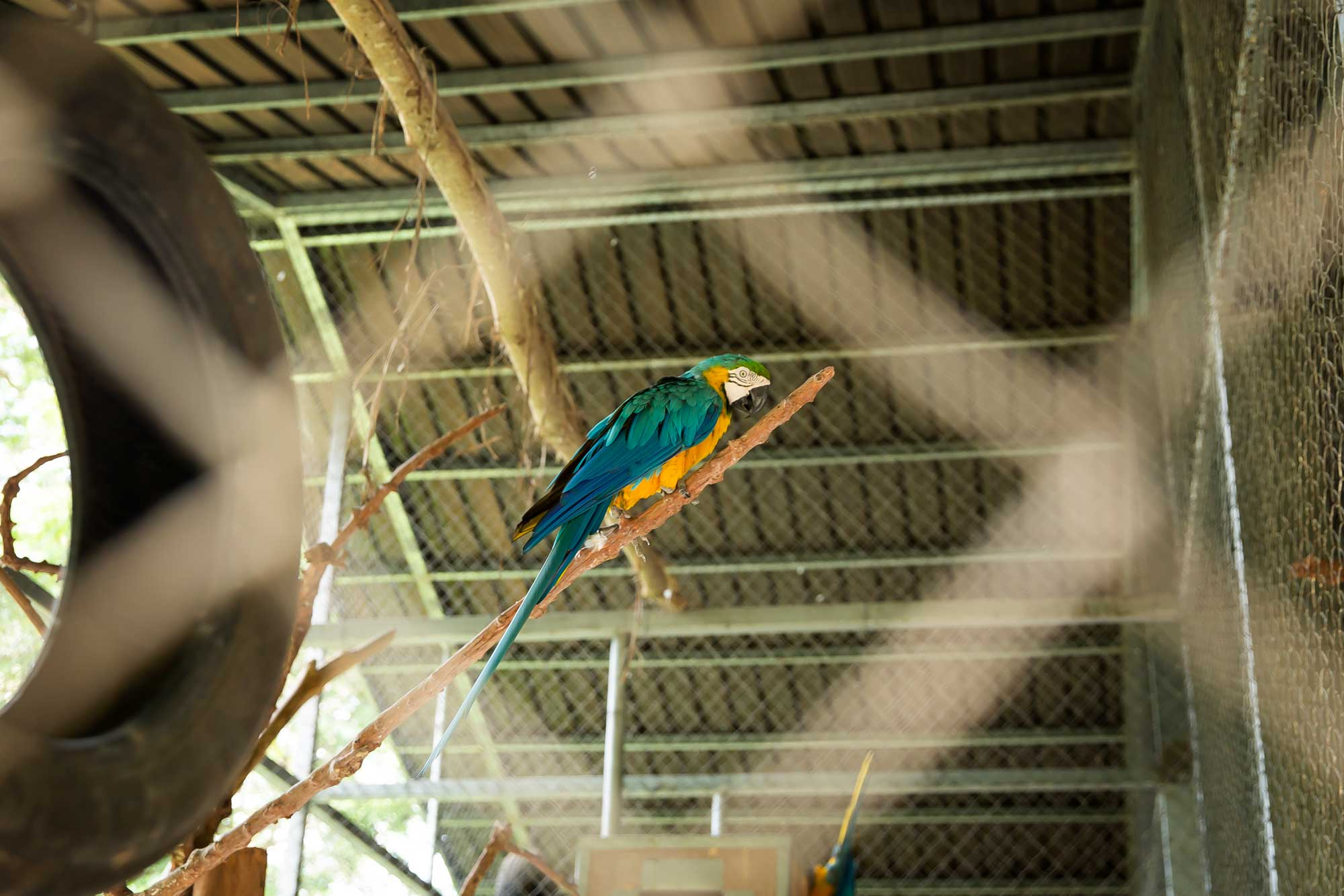 Centro de Conservación de Fauna 3