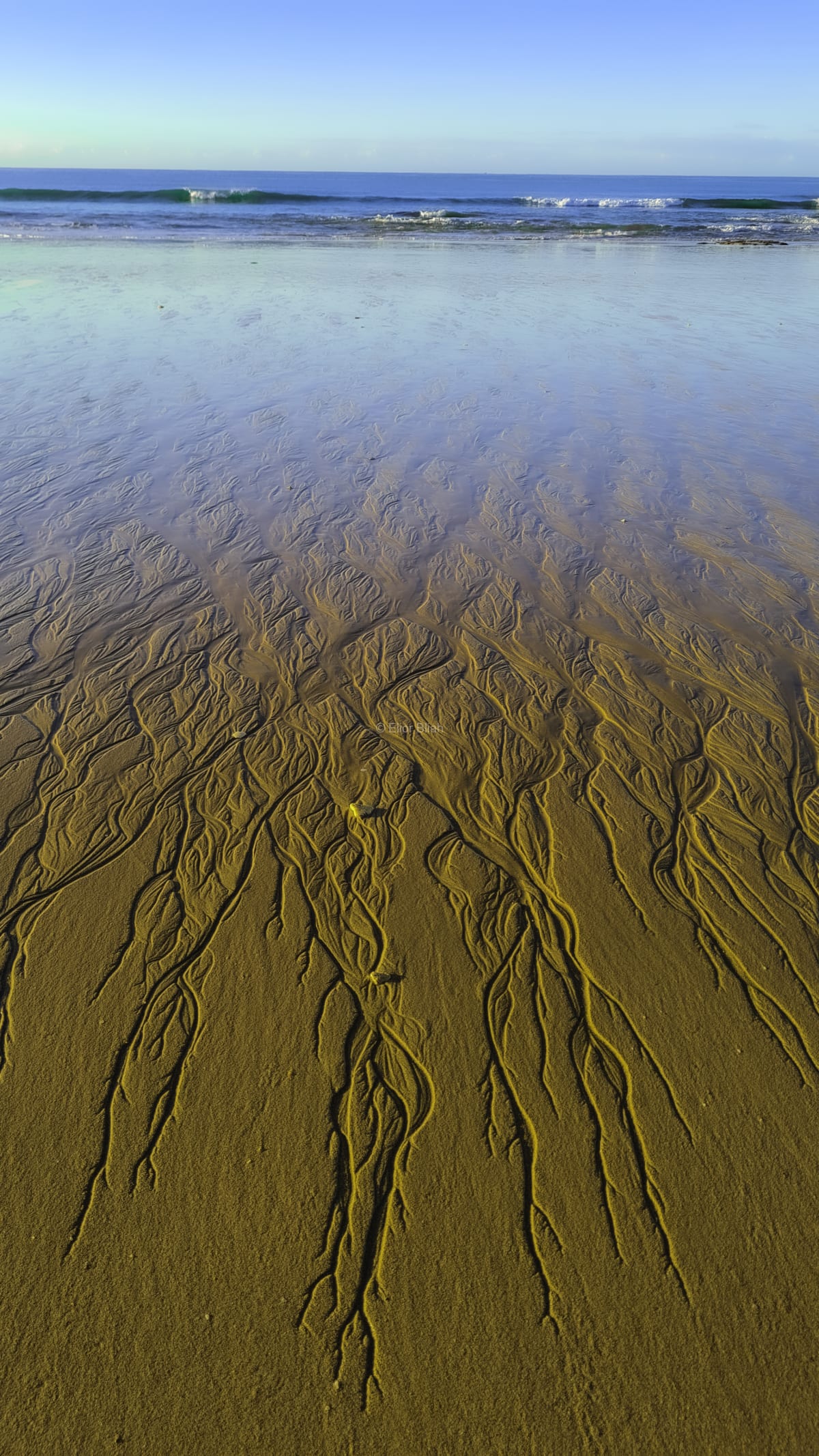Aerial view of golden beach sand with branching tidal drainage channels leading to turquoise ocean waves