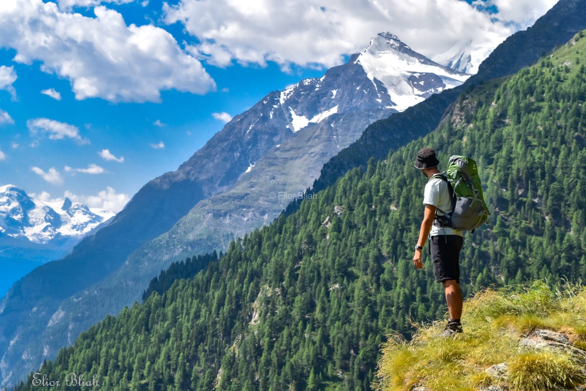 Hiker Above the Valley