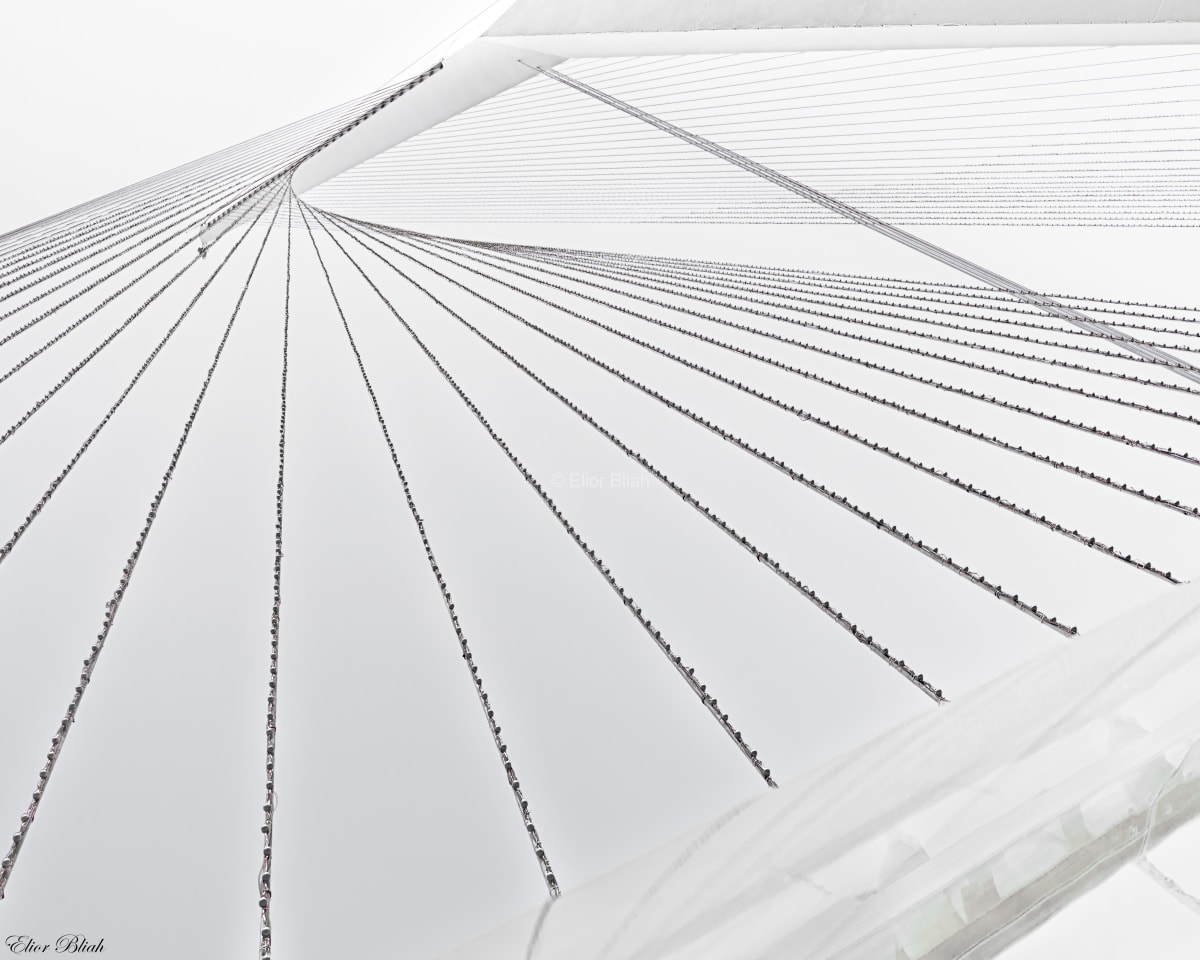 The Harp in White, Chords Bridge
