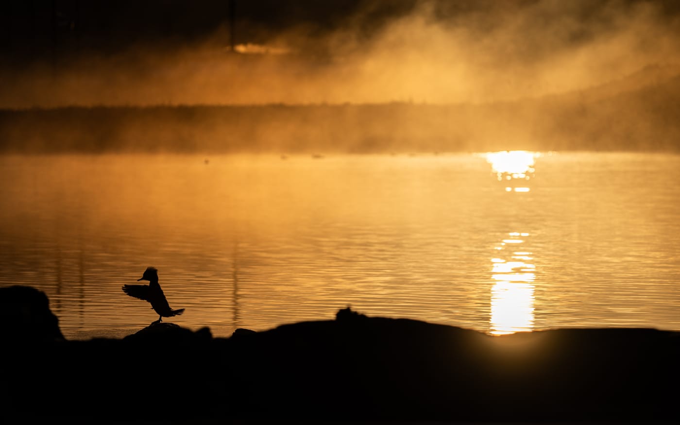 Golden Veil