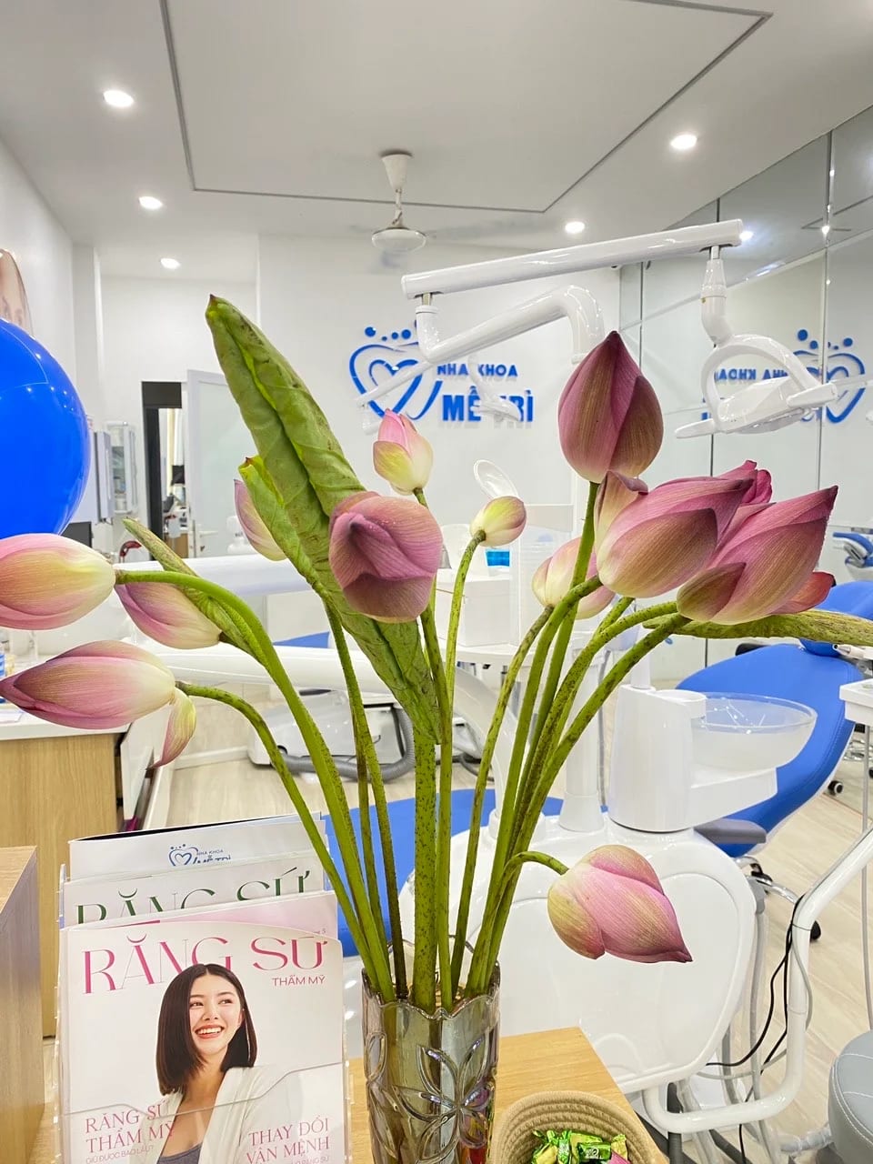 Full-Arch Dental Implants in Hanoi: Treatment Options Explained