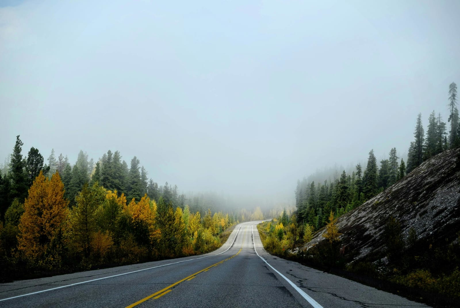 Why I fucking hate driving (and you probably do too)