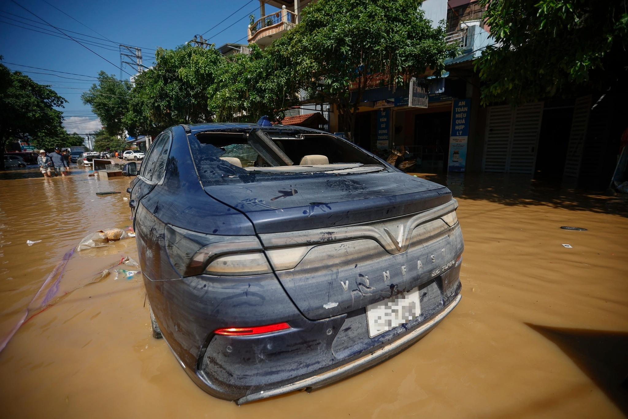 Why you should never buy an old car in Vietnam: A cautionary tale about flood damage and dealer deception