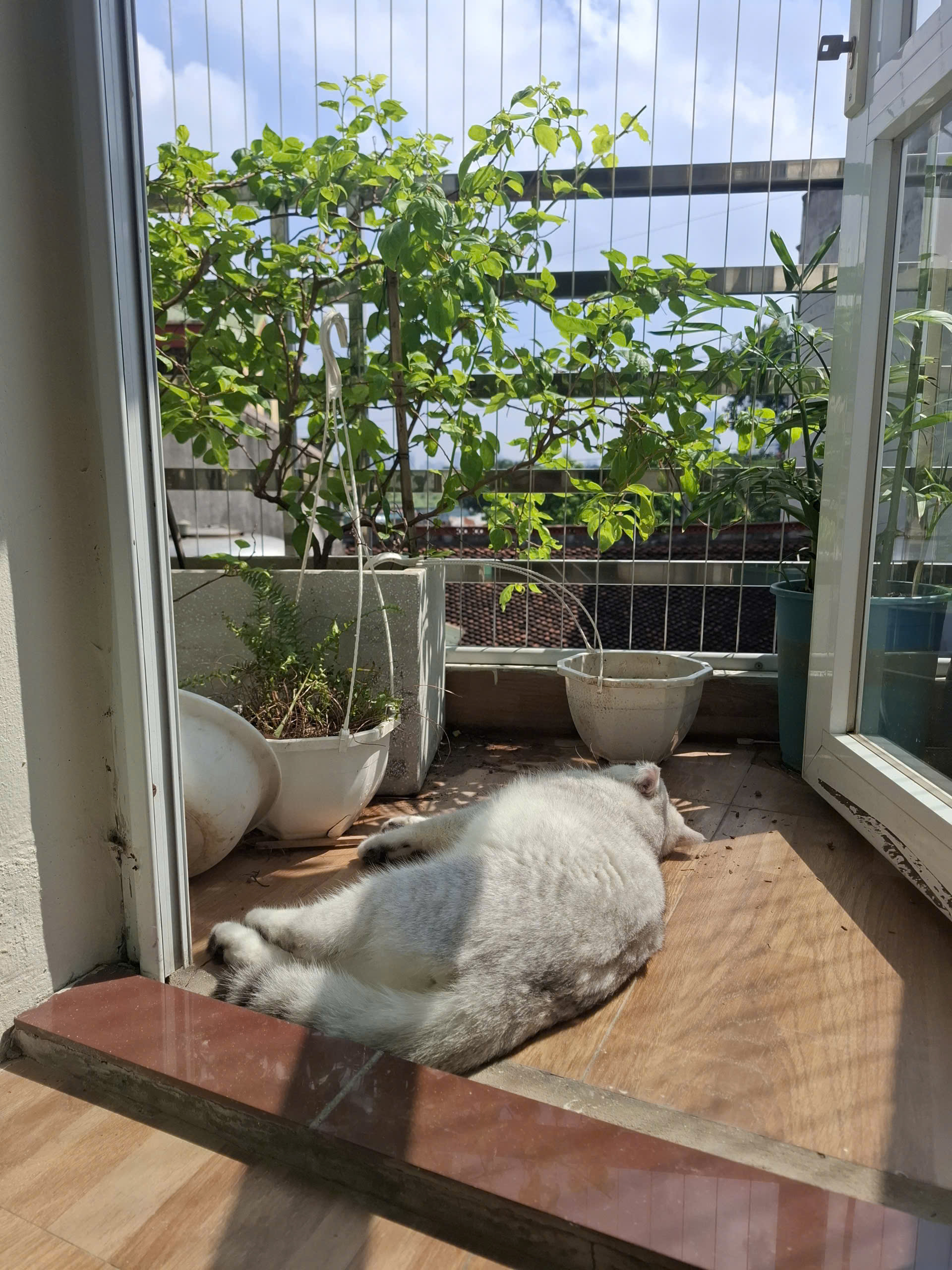 When success feels empty: finding meaning beyond the checklist