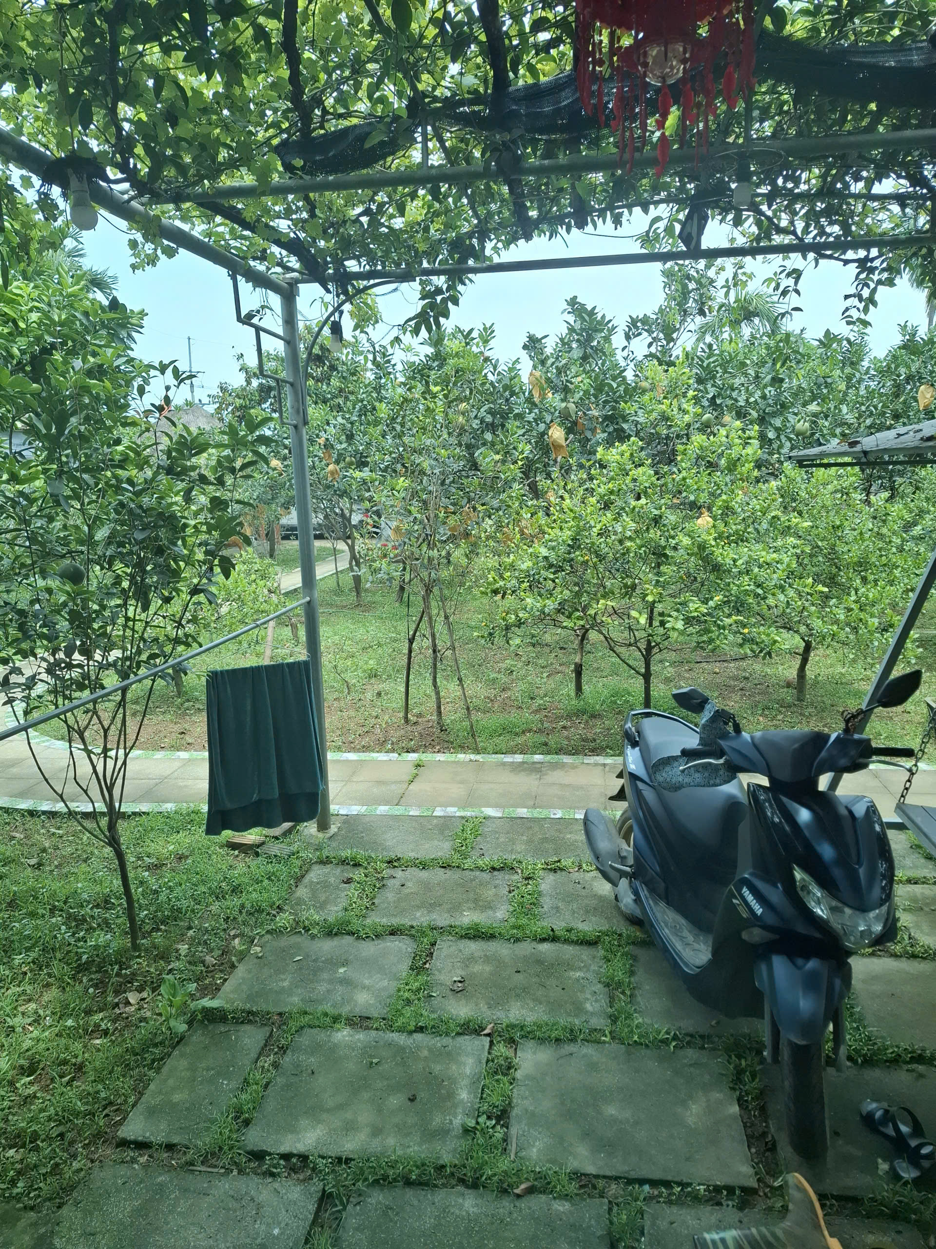 A peaceful countryside view with lush greenery