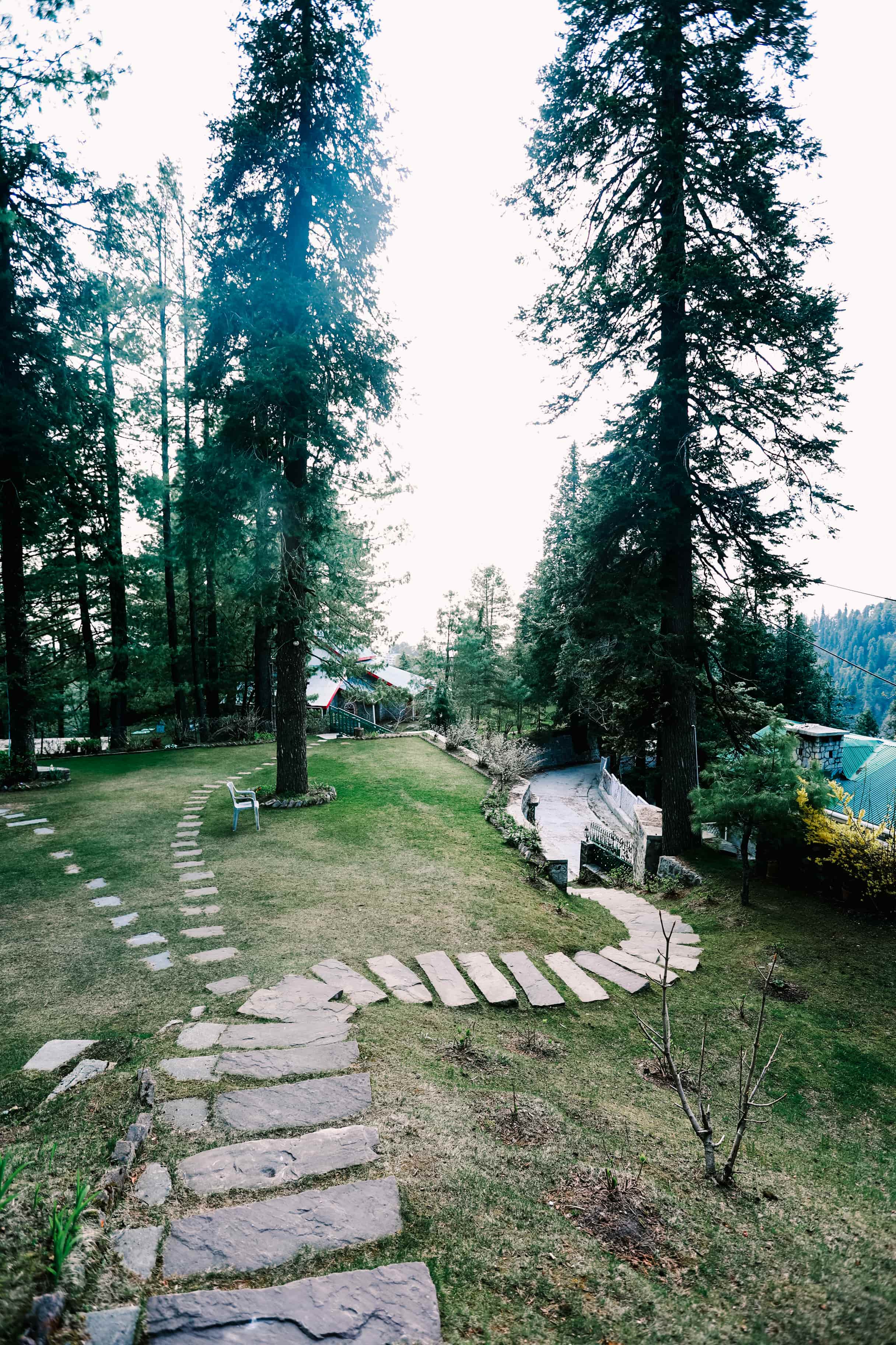 slide-19