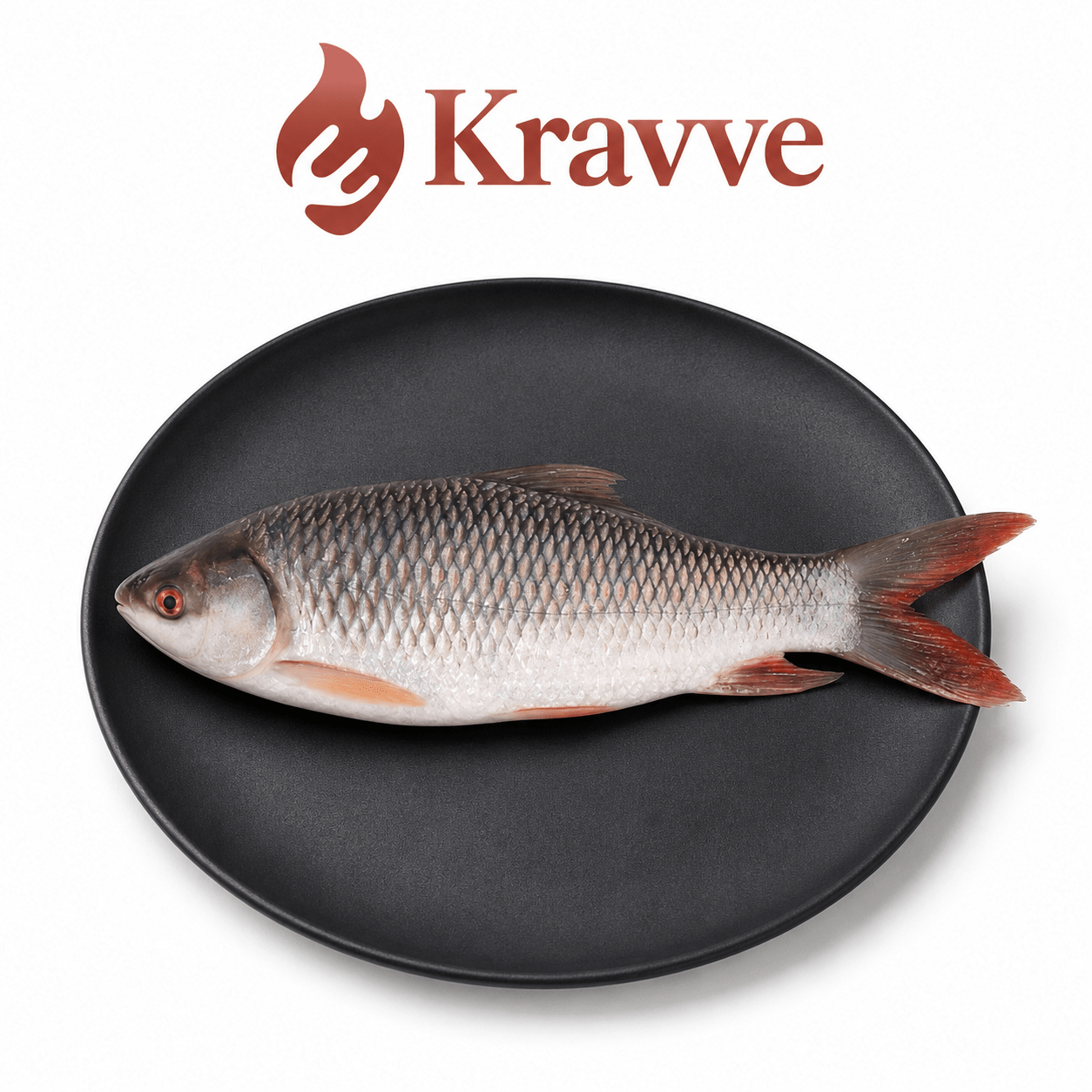 Rohu Fish