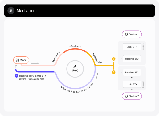 Stacks' Proof of Transfer consensus diagram.