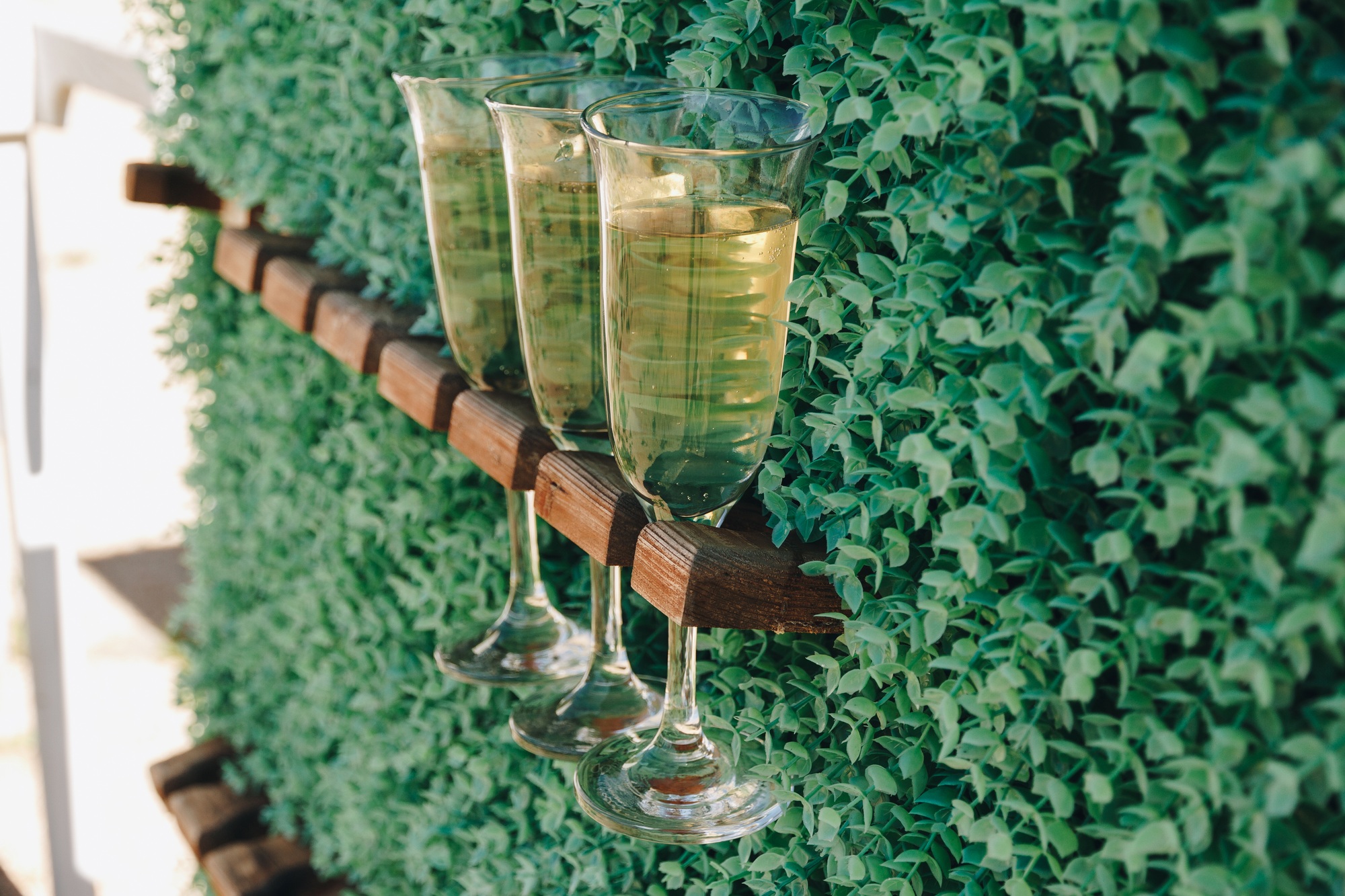 Luxury Event Backdrops – Champagne Wall, Grass Wall & Floral Walls