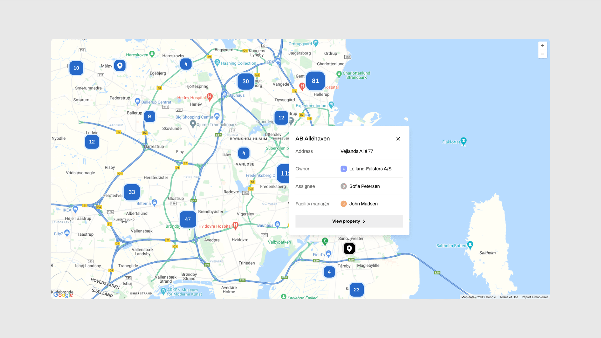 Design system component showing a Google Maps element.