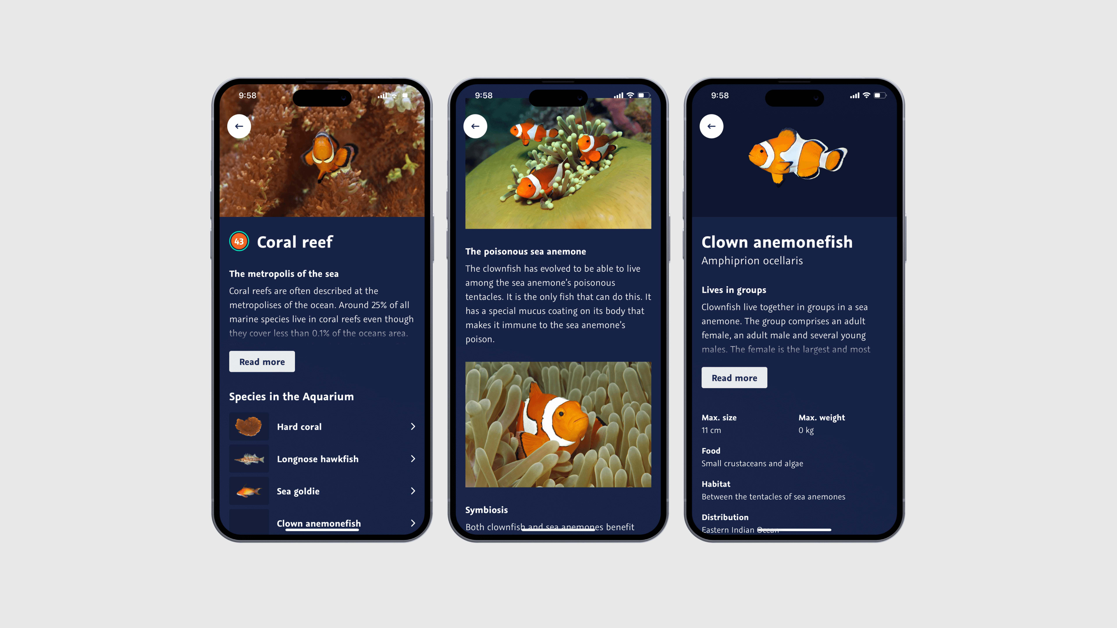 Multiple screens of National Aquarium Denmark's new mobile app.