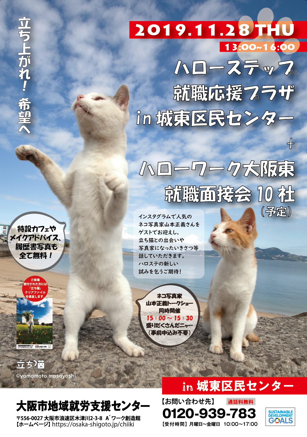 ハローステップ就職応援プラザin城東区民センター ハローワーク大阪 東就職面接会 12社予定 インスタグラムで大人気 立ち猫 写真家がやってくる Prでっせ