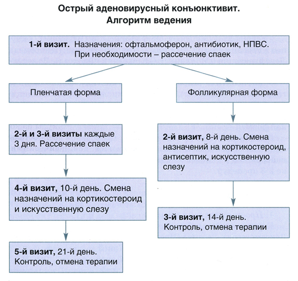 Схема лечения при конъюнктивите