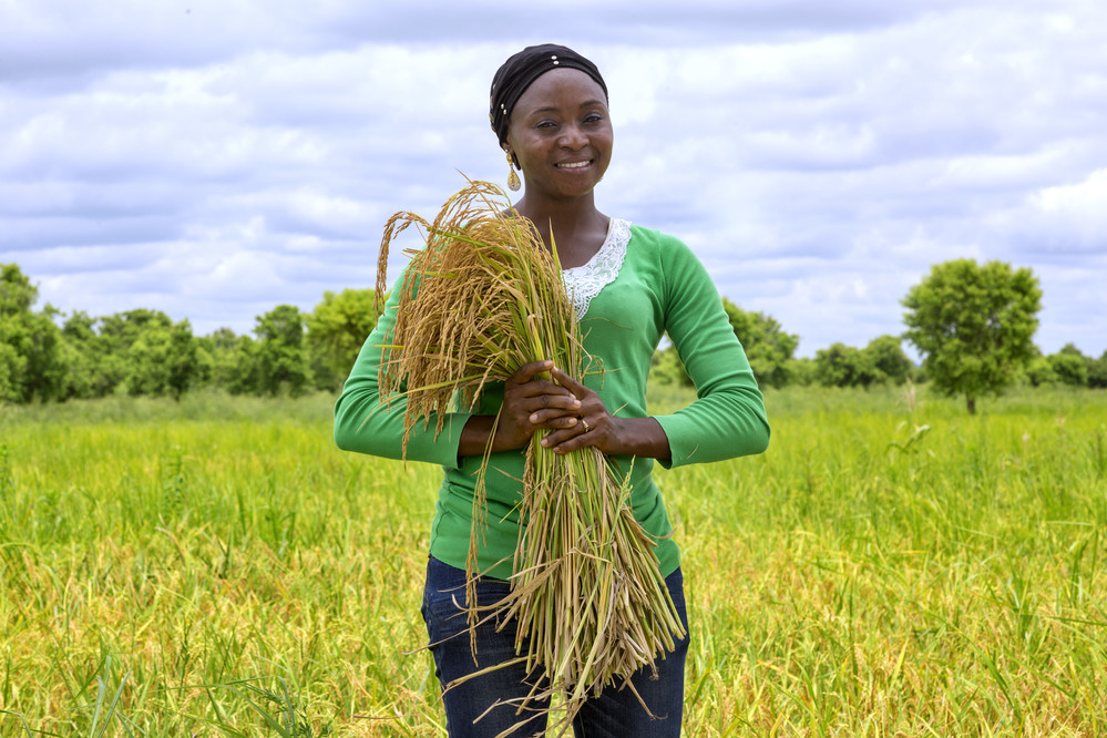 leacent Business Group