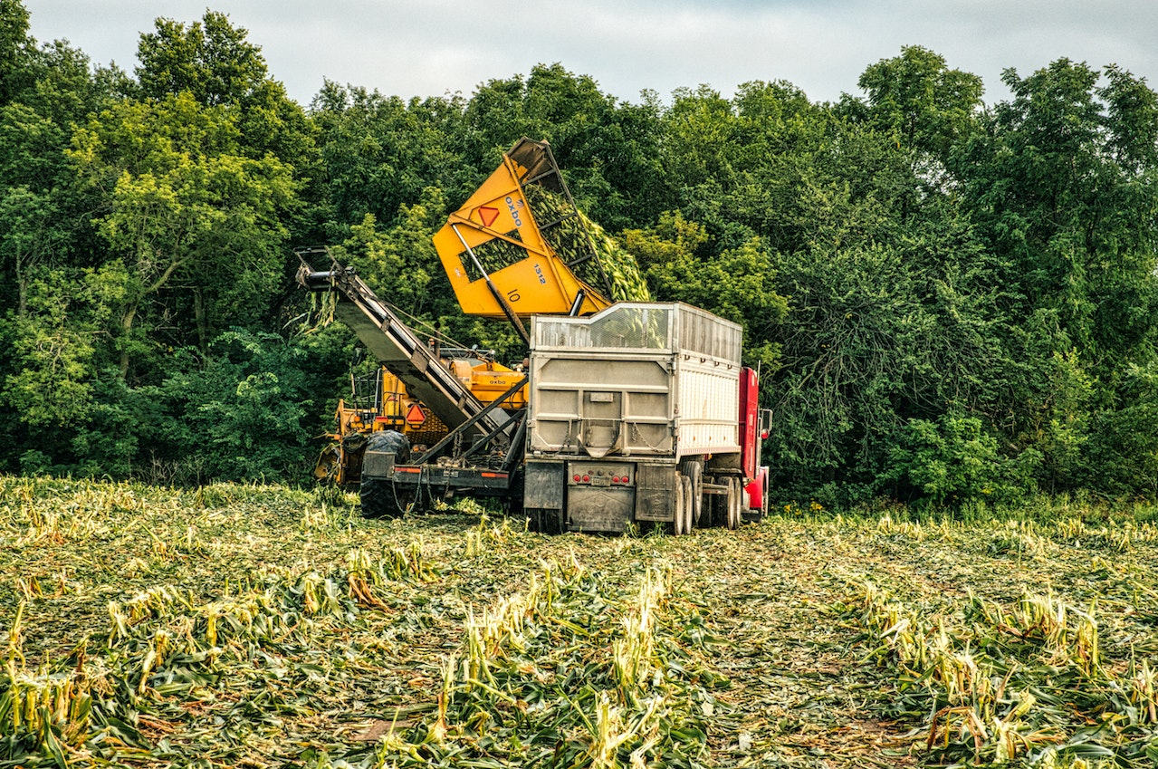 leacent Business Group