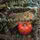 A detail photo of some fishing nets and lobster pots. There’s a bright orange buoy in the foreground.