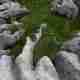 Looking down at a limestone pavement in Whernside. The limestone is severely eroded and filled with grass in between.