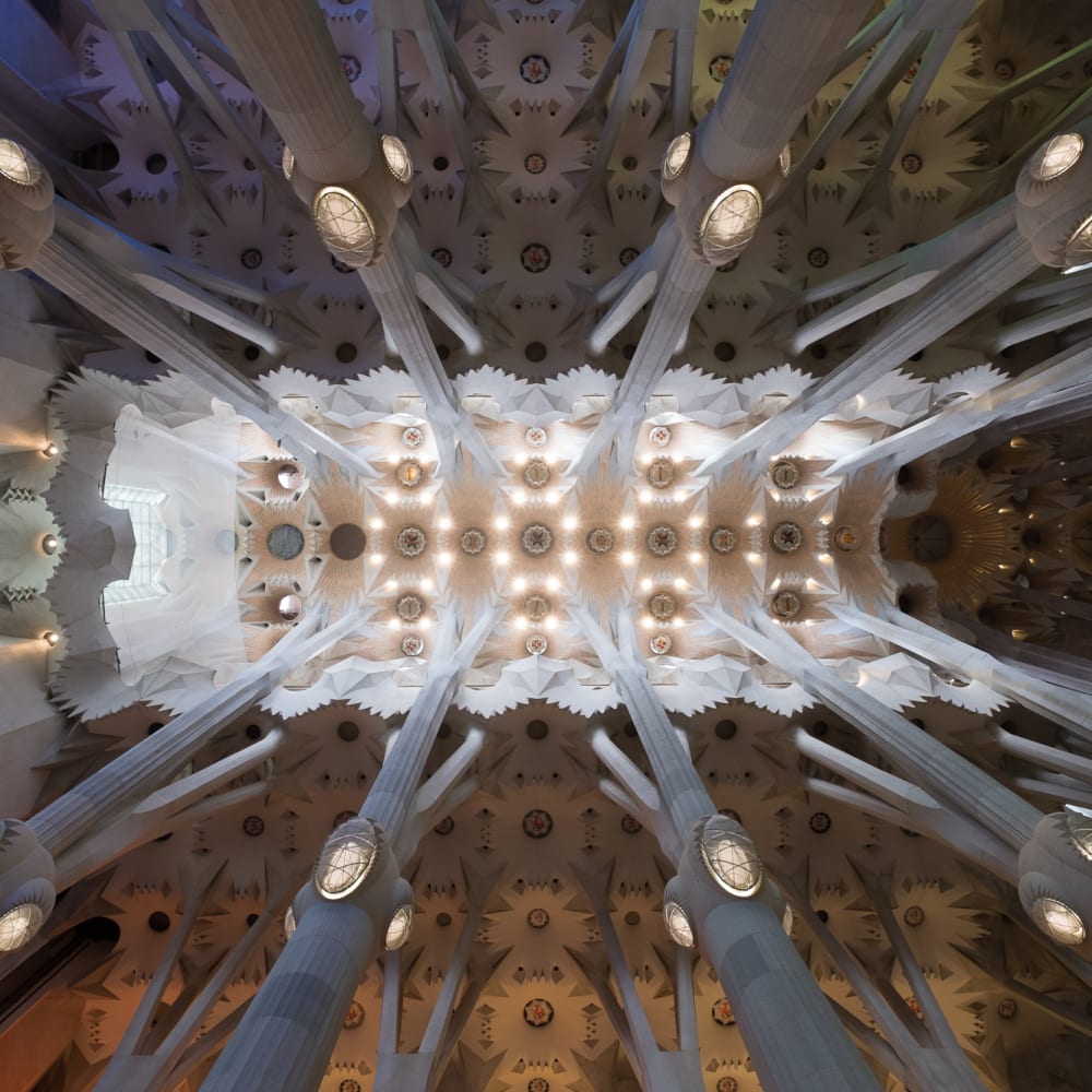 A photo looking directly up at the large hall of la Sagrada Família. There are 8 main support columns that radiate outwards.