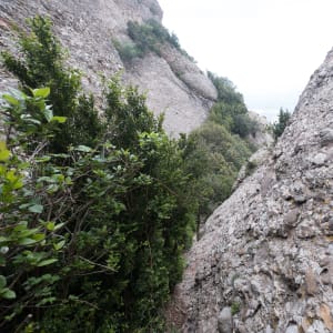 A view down a cut v in two rock faces. Both faces are very steep.