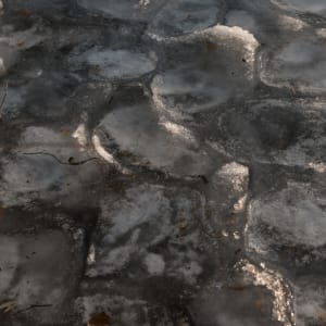 A photo of frozen ice on a lake. The ice has formed in to scalloped shapes as if large shells were pressed in to the surface and then removed when frozen.