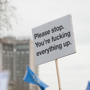 A single protest sign held high in the air. It’s white with black text. The text reads ‘Please stop. You’re fucking everything up.’
