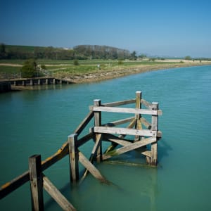 Looking down a greenish-blue river, with rotting wooden posts in the foreground.