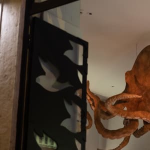 The camera looks through a window from outside to the interior of a room. In the centre of the room a large model of an octopus is suspended from the ceiling.